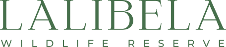 Lalibela Company Logo